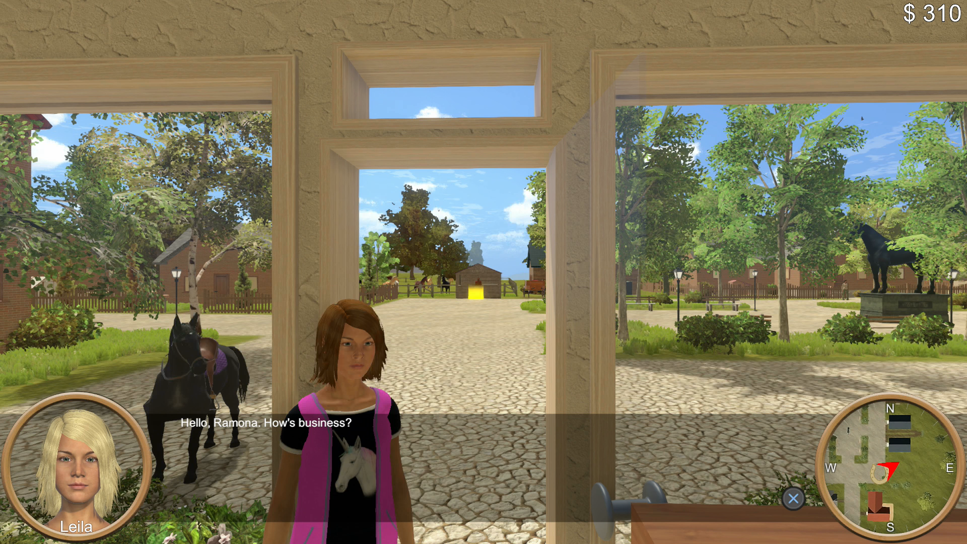 The Unicorn Princess