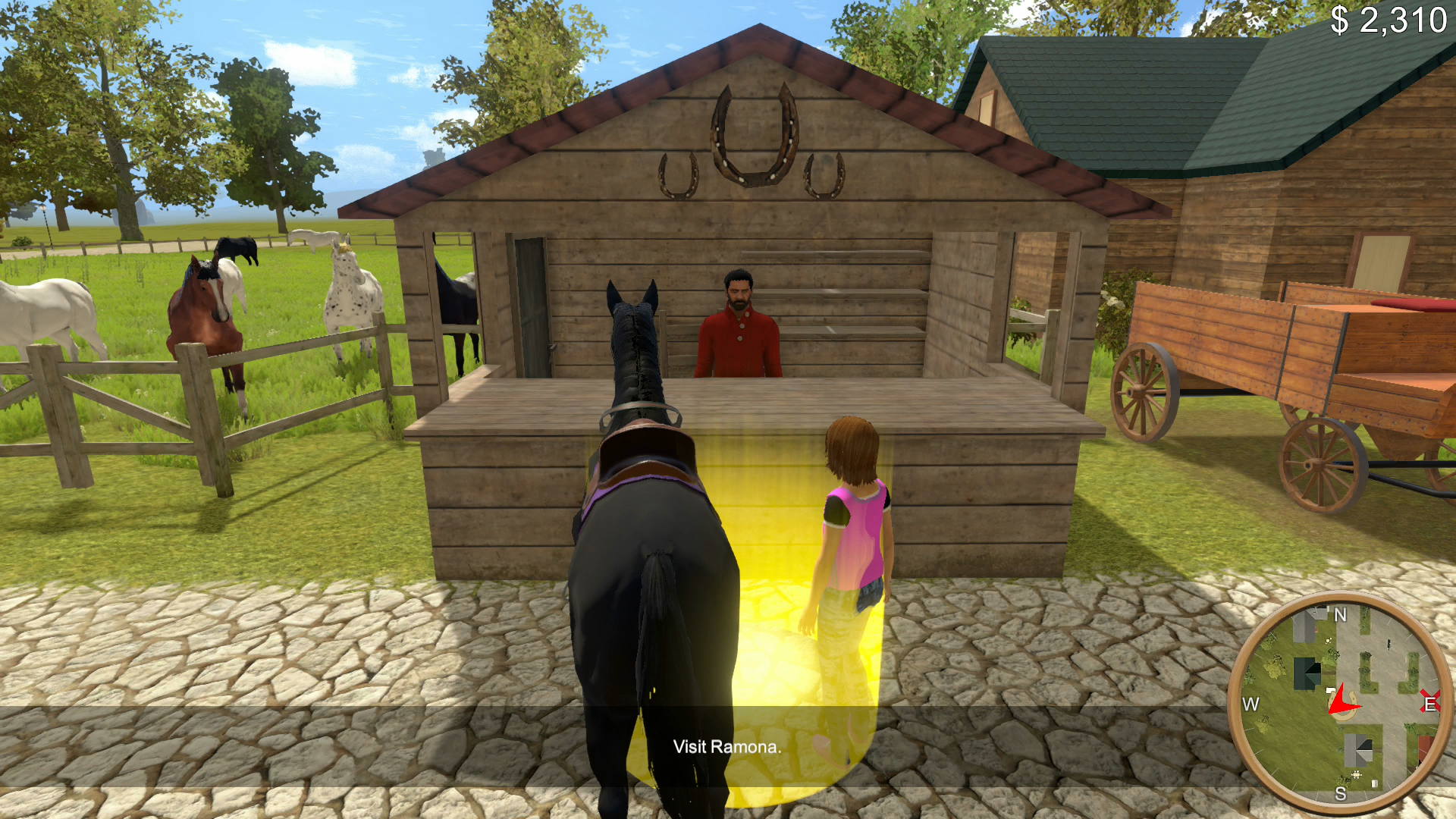 The Unicorn Princess