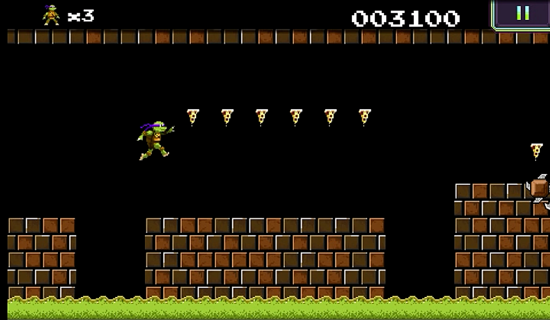 Teenage Mutant Ninja Turtles: Donnie Saves a Princess