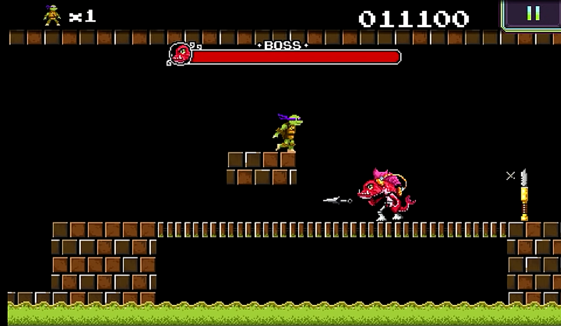 Teenage Mutant Ninja Turtles: Donnie Saves a Princess