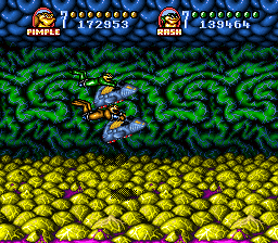 Battletoads In Battlemaniacs