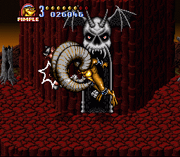 Battletoads In Battlemaniacs