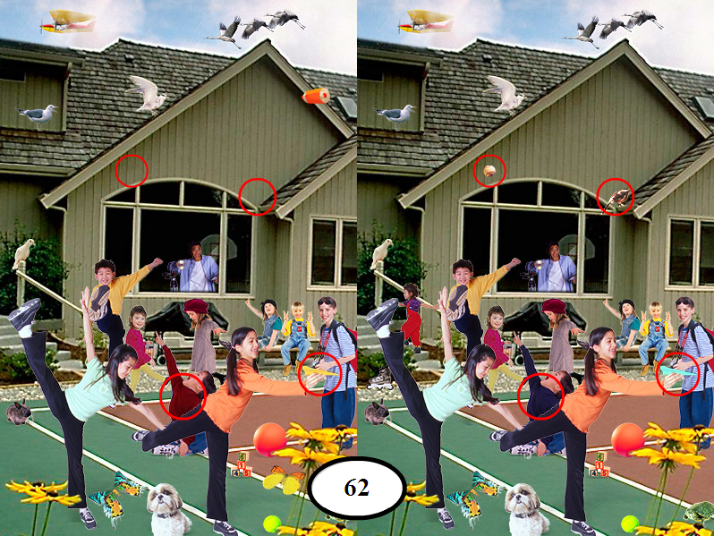 Seek and Find Collection 2