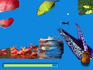 Lasy Podpoduszańskie