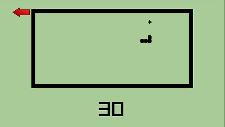 The First Skunk Bundle