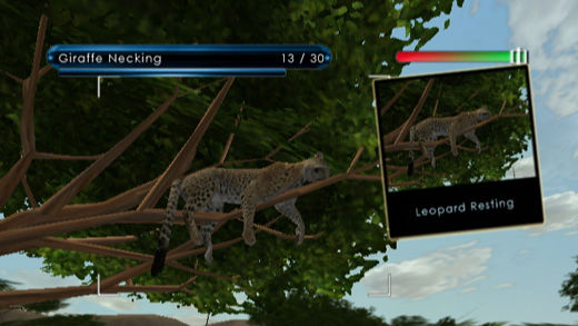 Wild Earth: African Safari