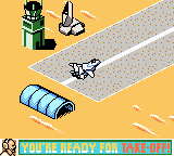 Top Gun: Firestorm