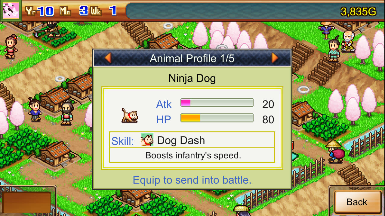 Ninja Village