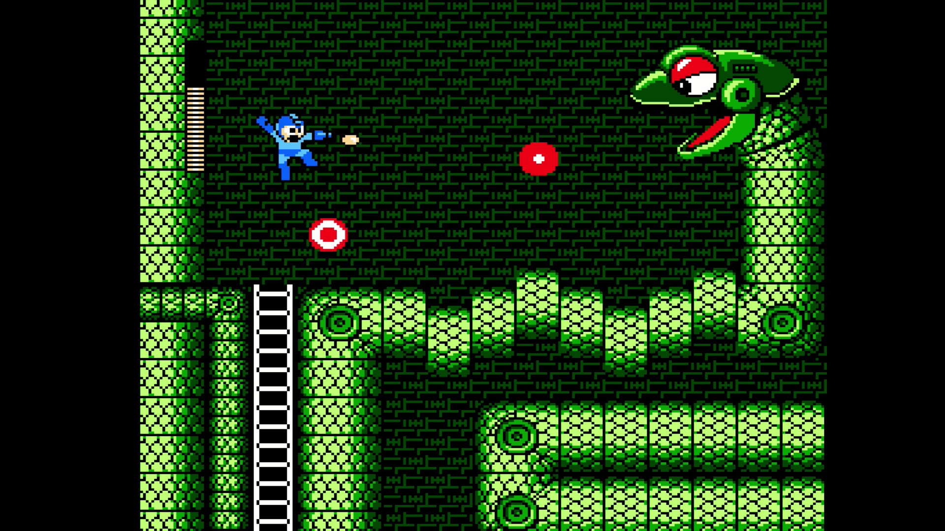Mega Man Legacy Collection: Special Edition