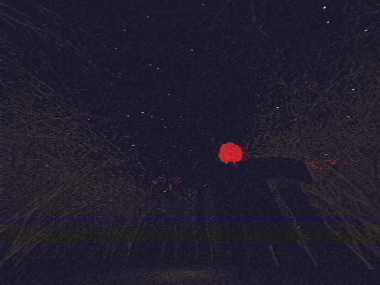 Night Dreams