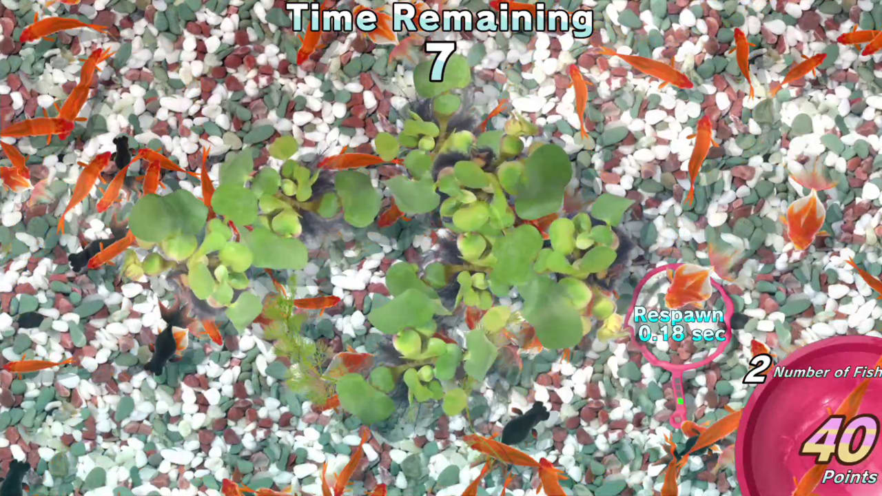 Catch ‘Em! Goldfish Scooping