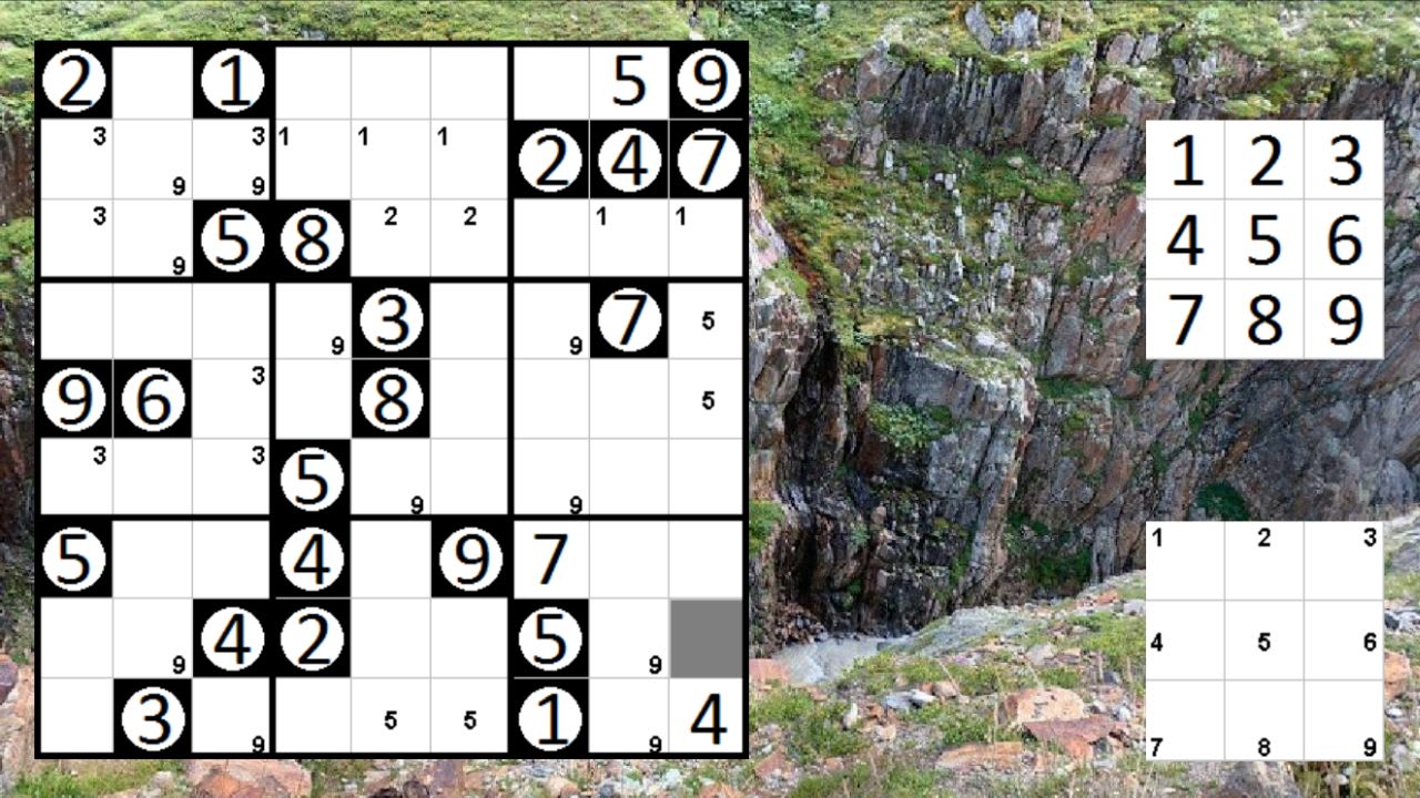 Logic Puzzle Collection: Sudoku, Permudoku, Nonodoku