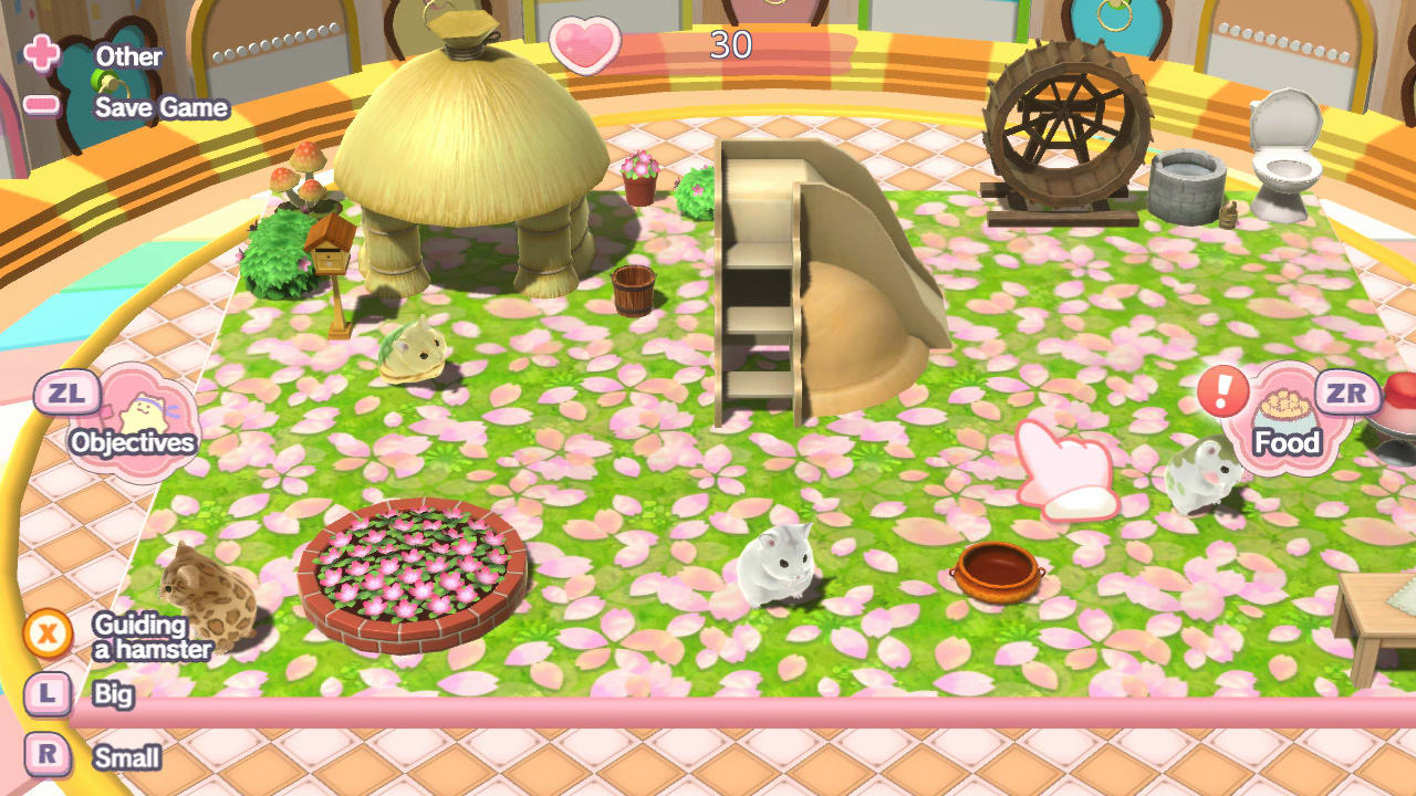 Tales of Djungarian Hamster