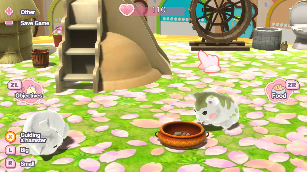 Tales of Djungarian Hamster