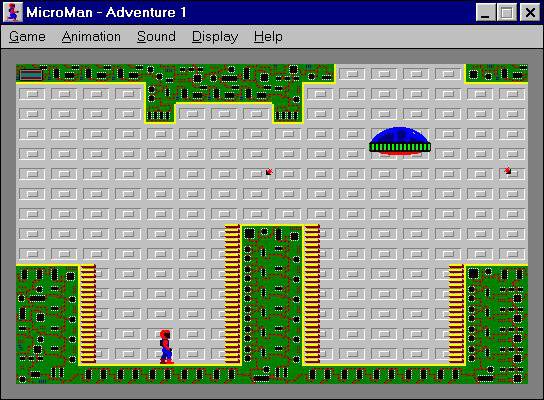 The Adventures of MicroMan