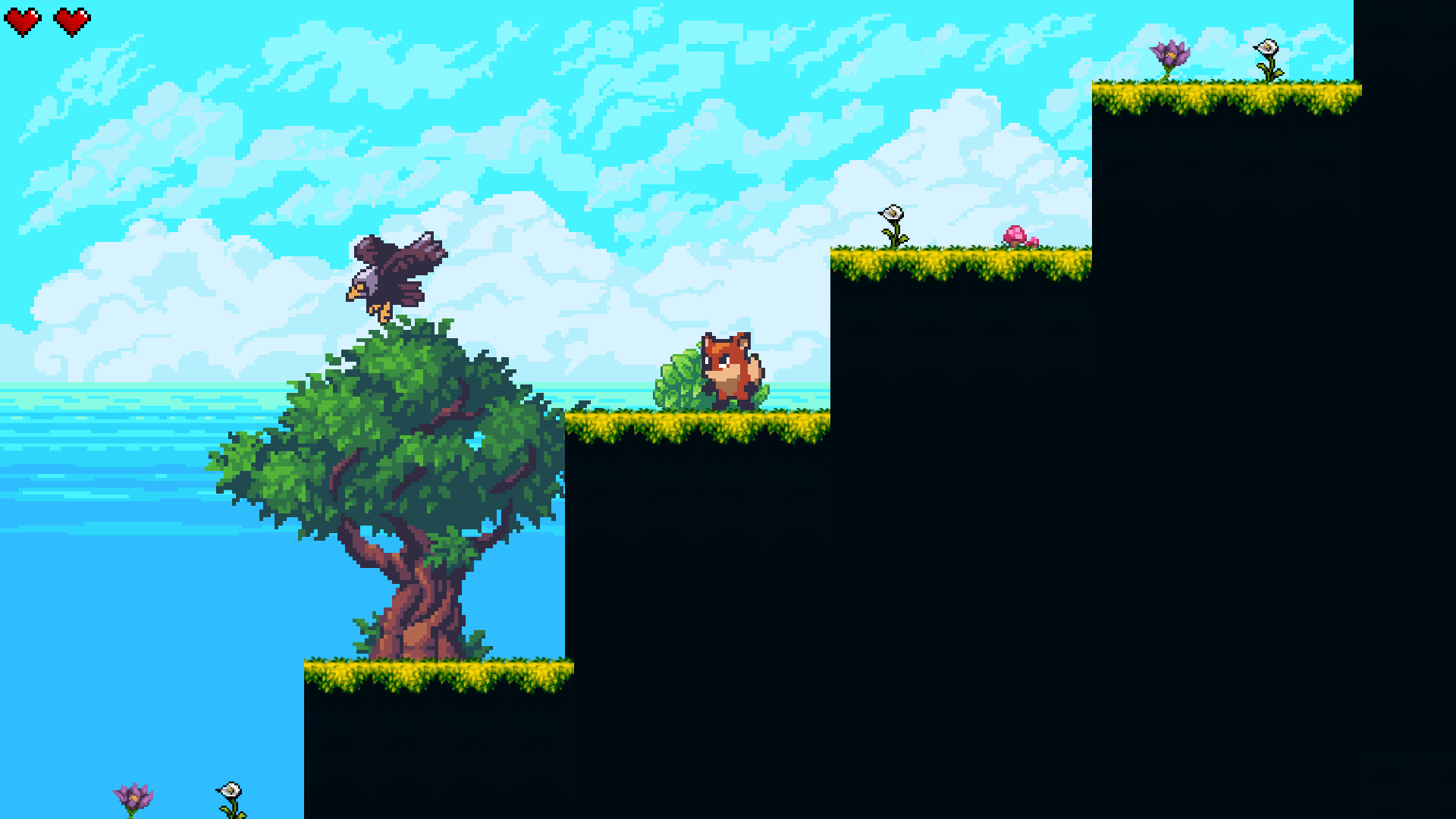 In a search of a new home