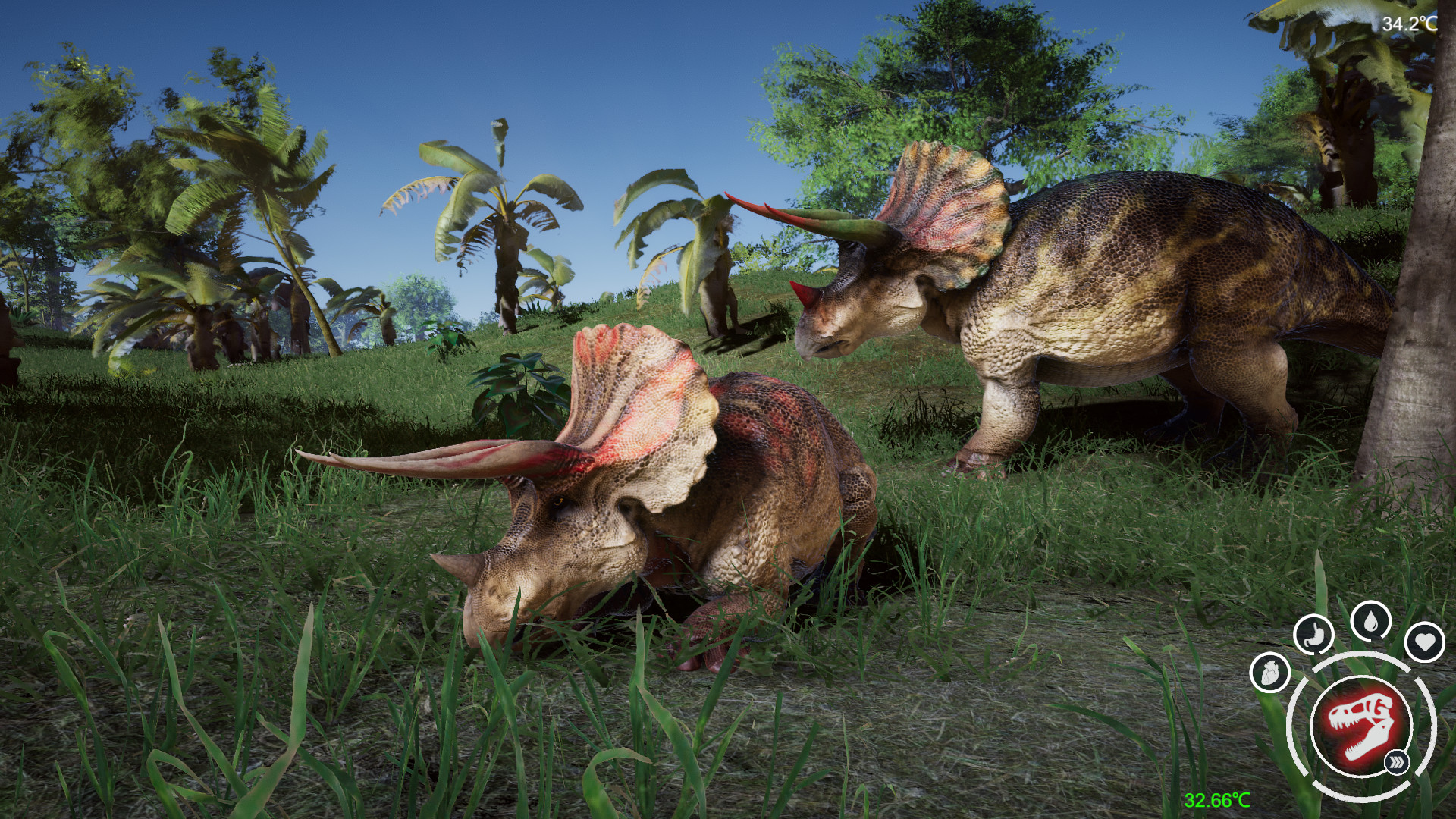 The Beasts of 9500