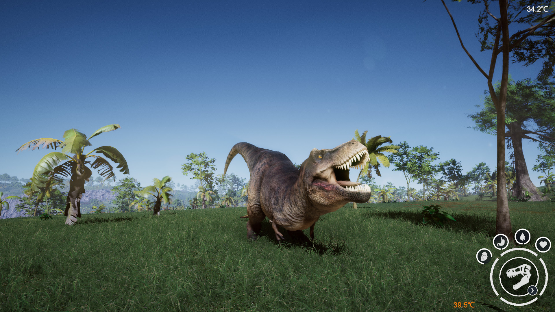 The Beasts of 9500