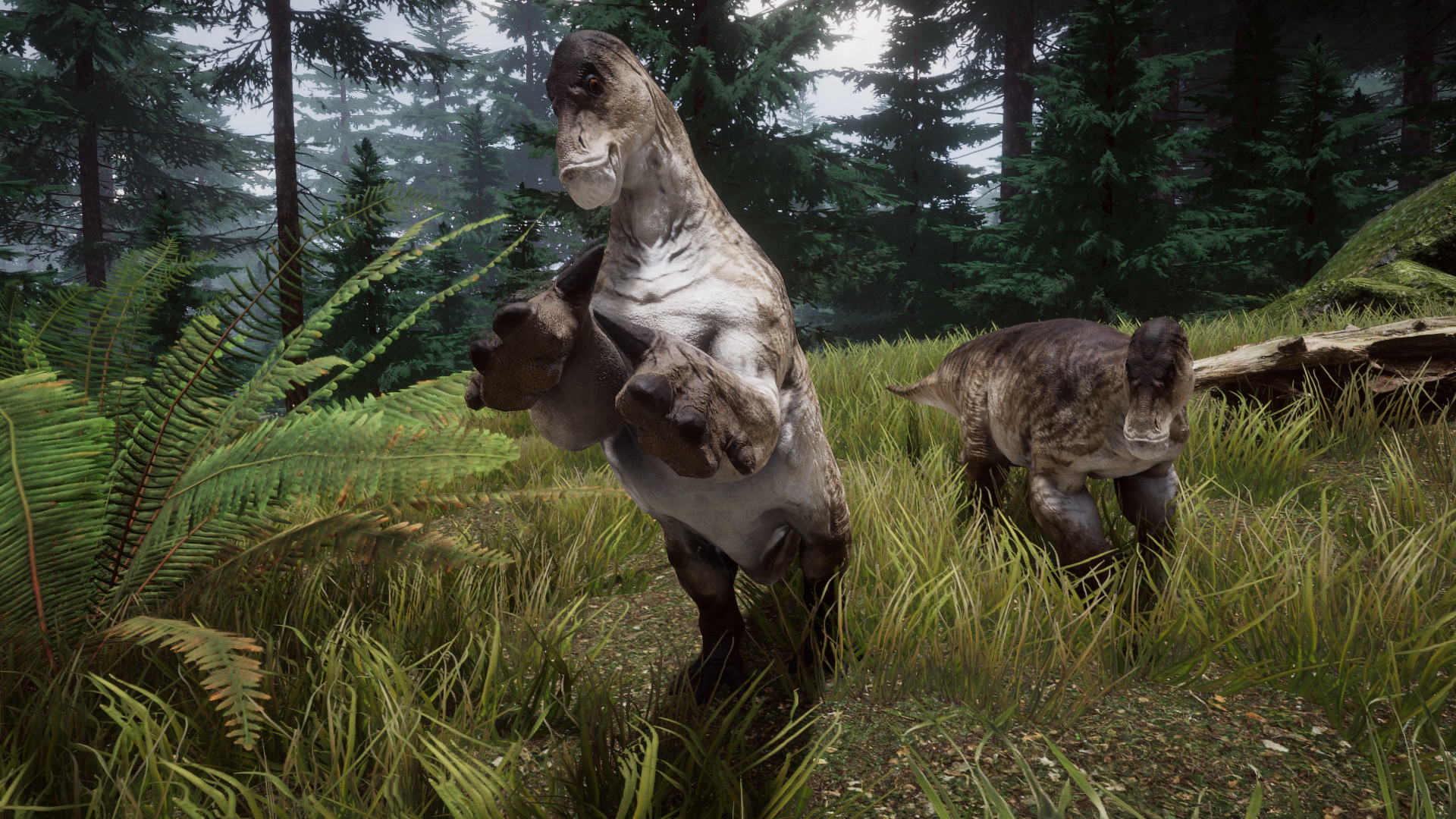 The Beasts of 9500