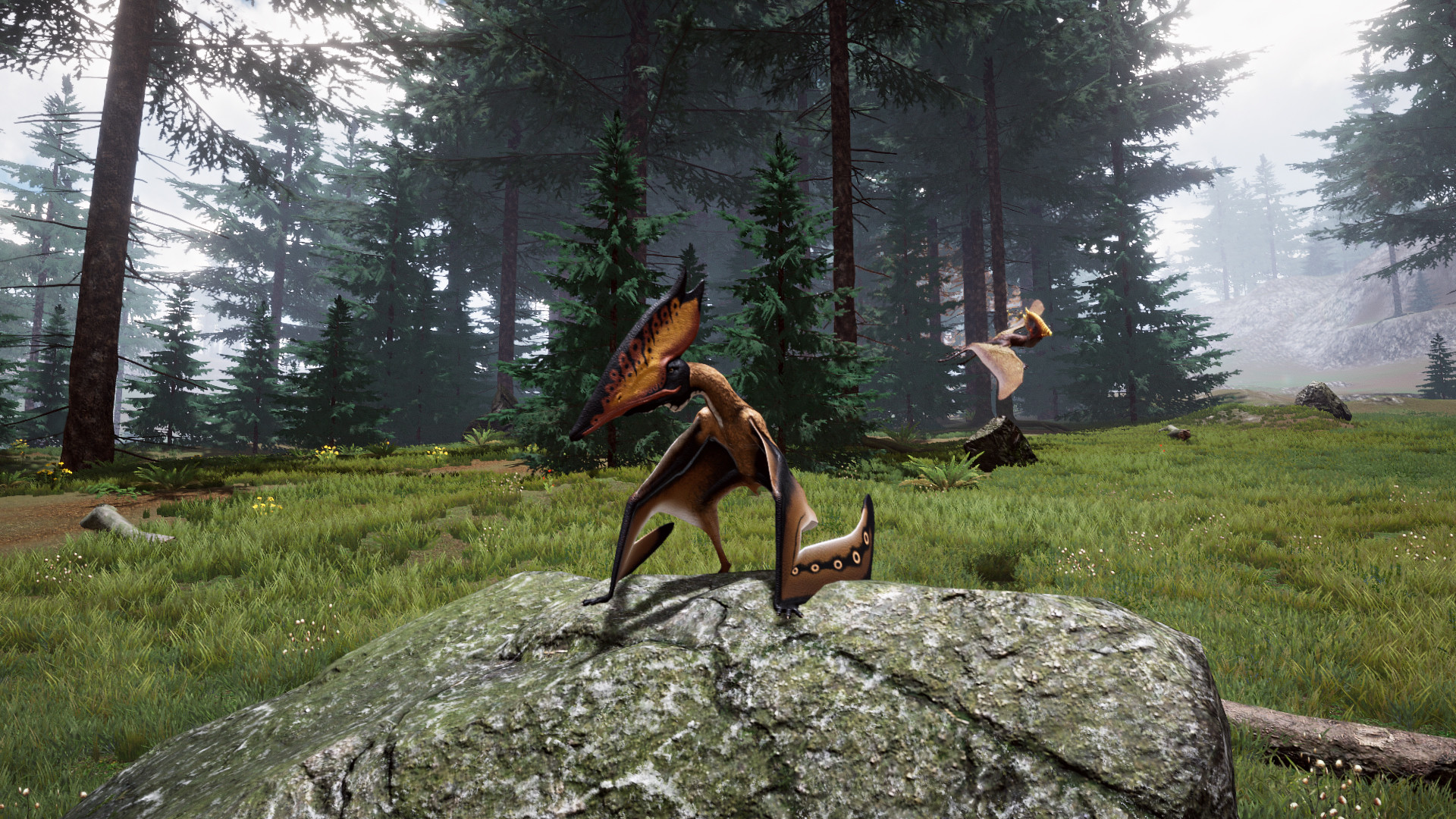 The Beasts of 9500