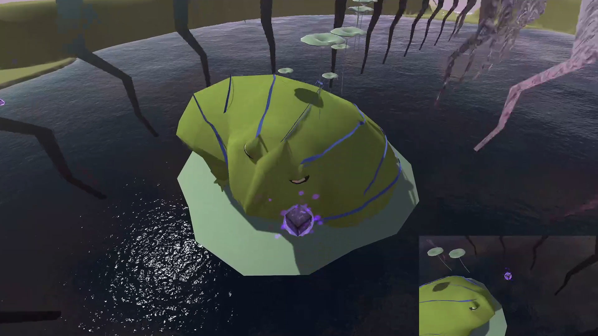 Frog Space