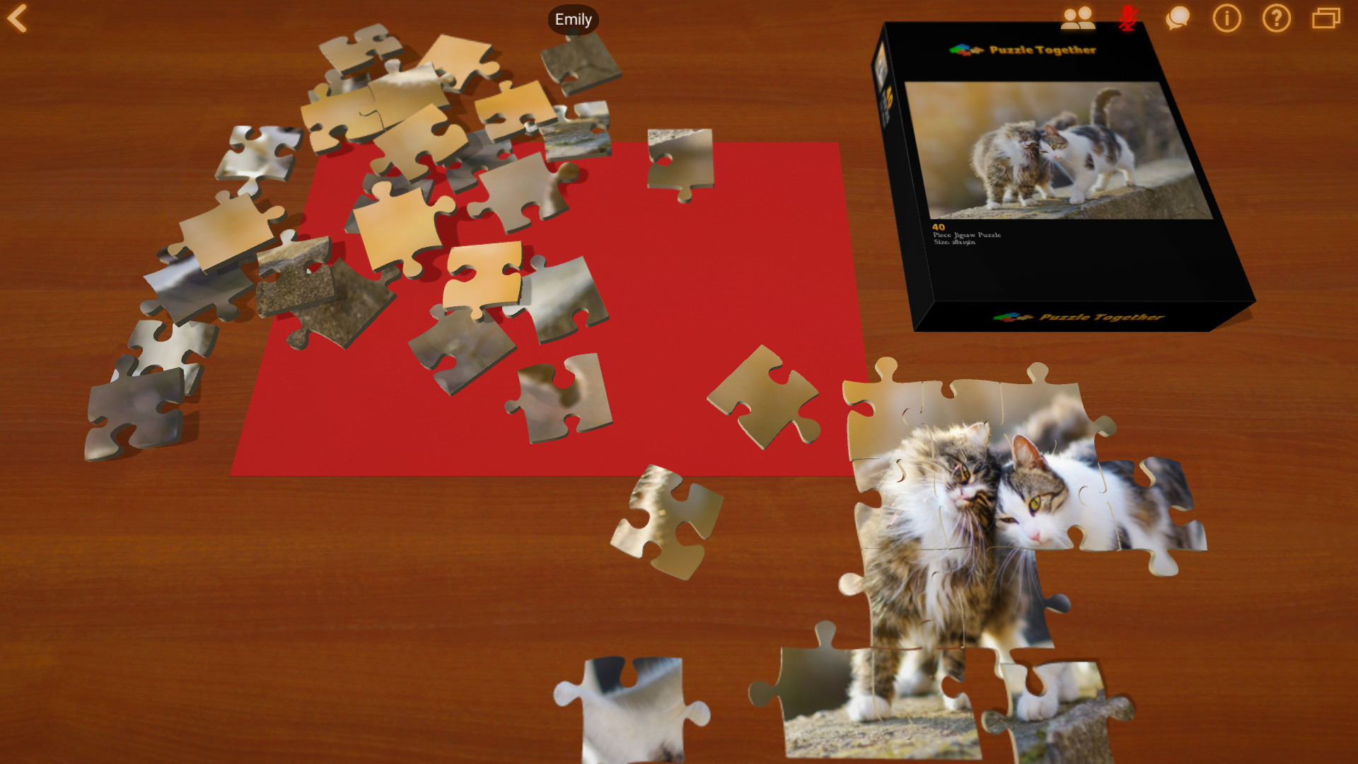 Puzzle Together