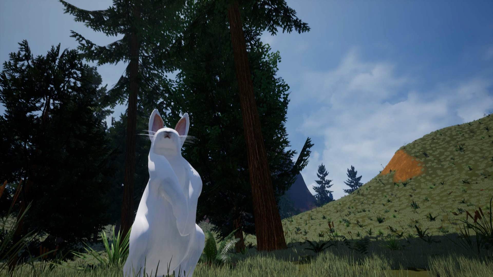 Bunny’s Buddy