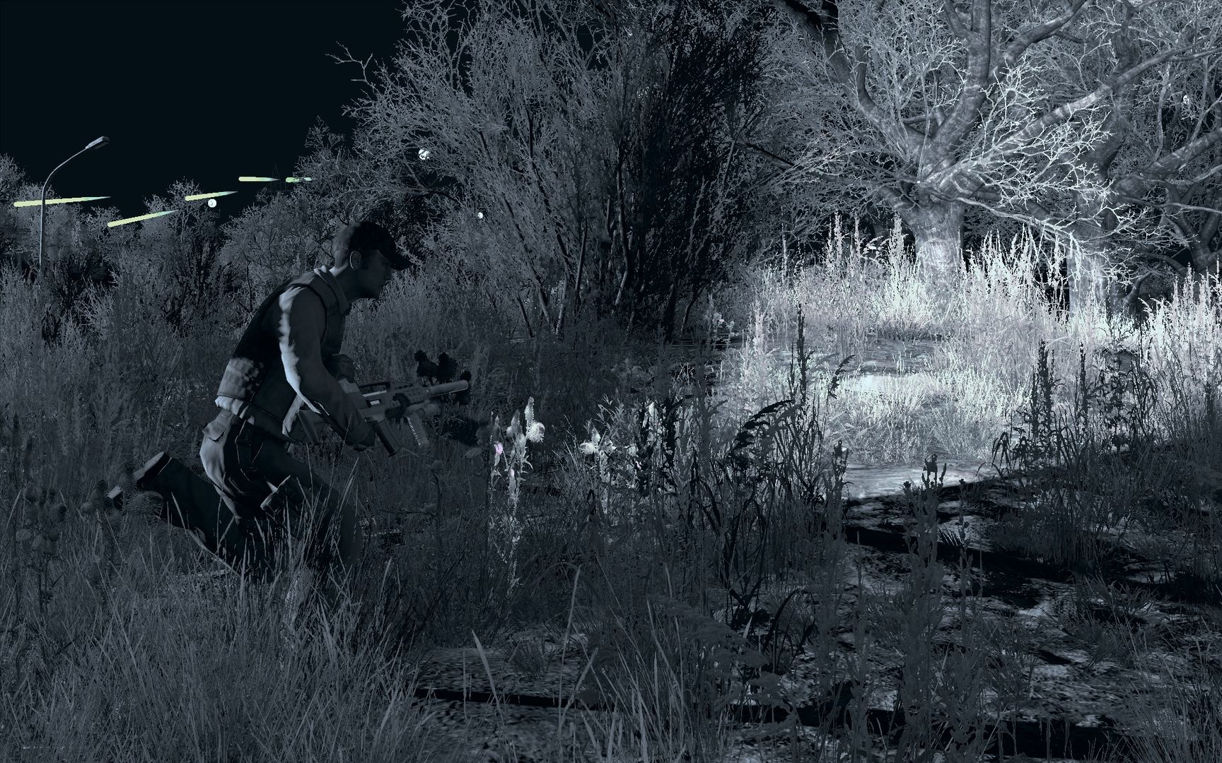 Arma 2: Private Military Company