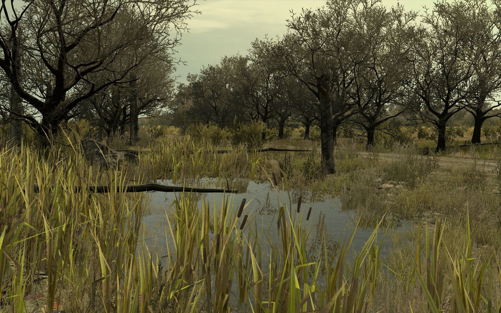 Arma 2: Private Military Company