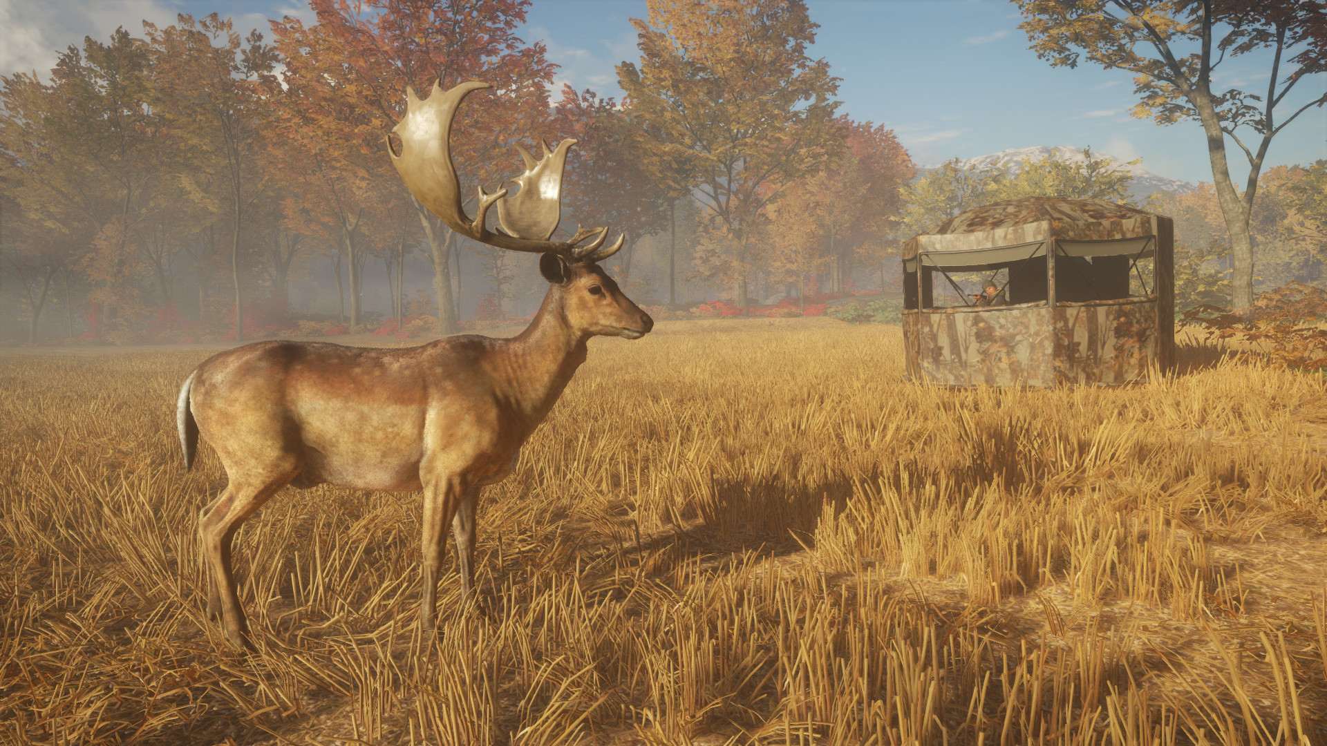 TheHunter: Call of the Wild – Tents &amp; Ground Blinds