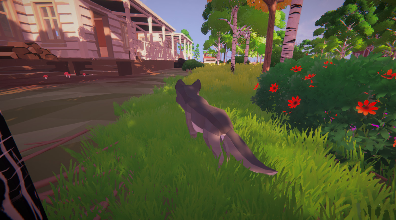 Little Wolf
