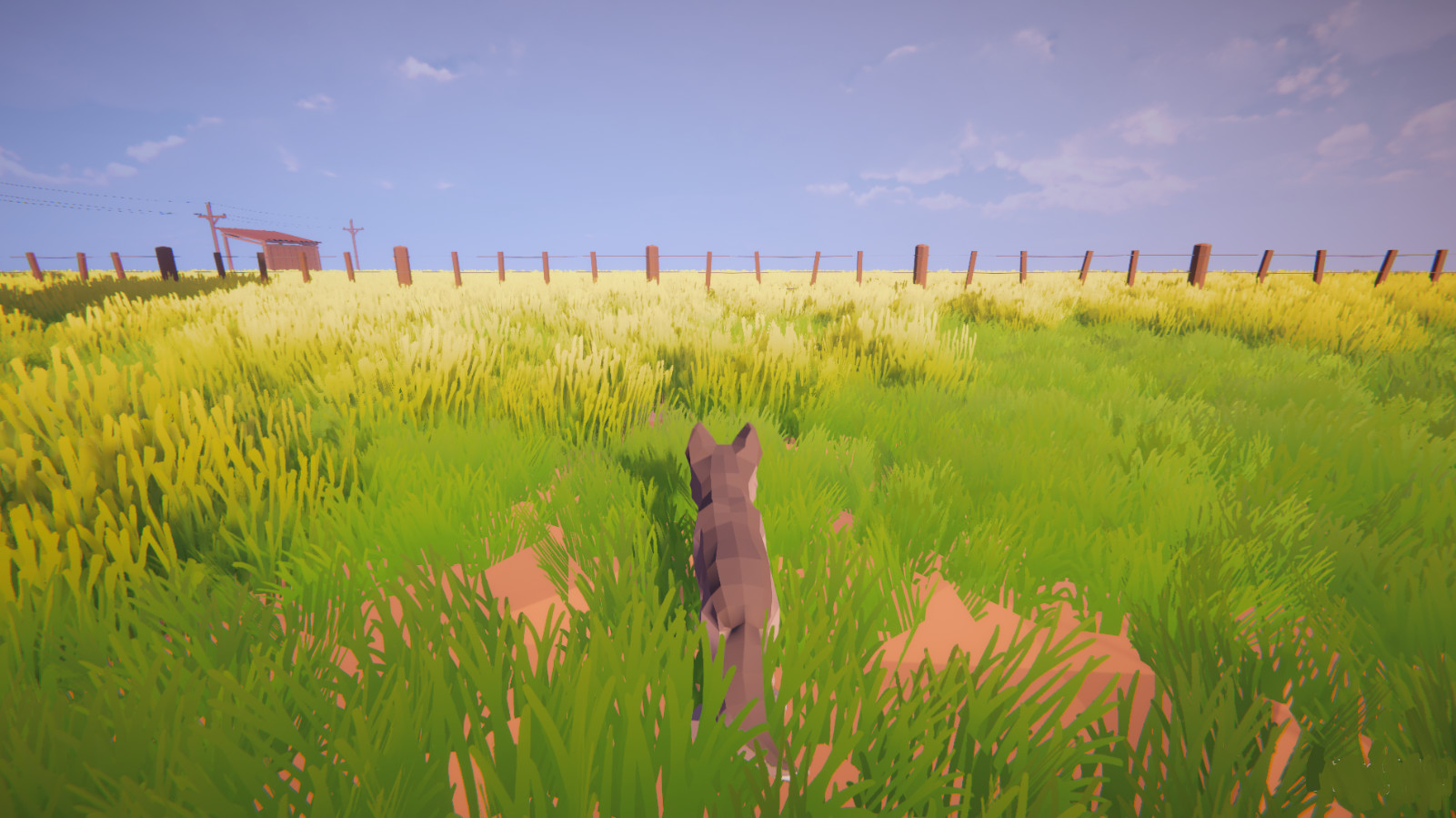 Little Wolf