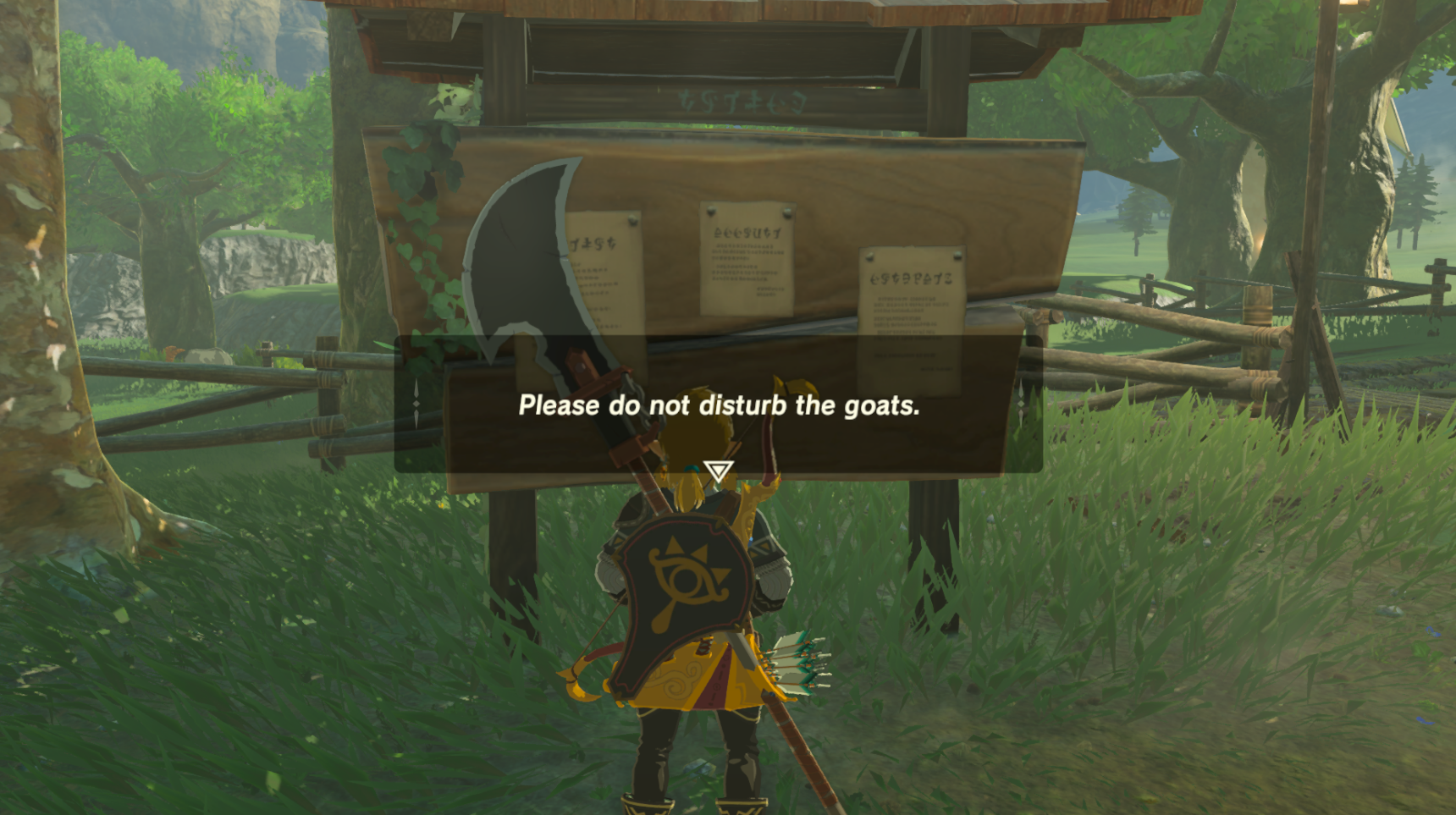 The Legend of Zelda: Second Wind