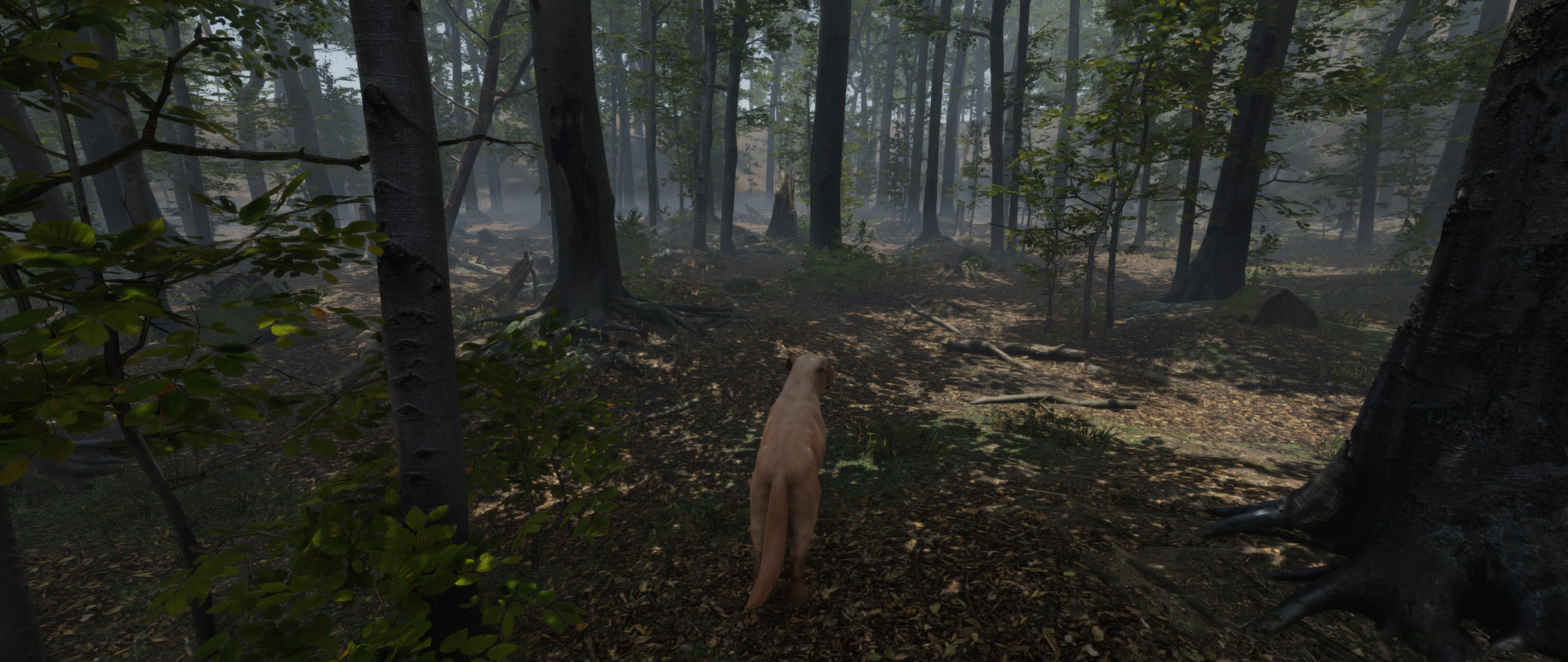 Stay Lit, Find Radio