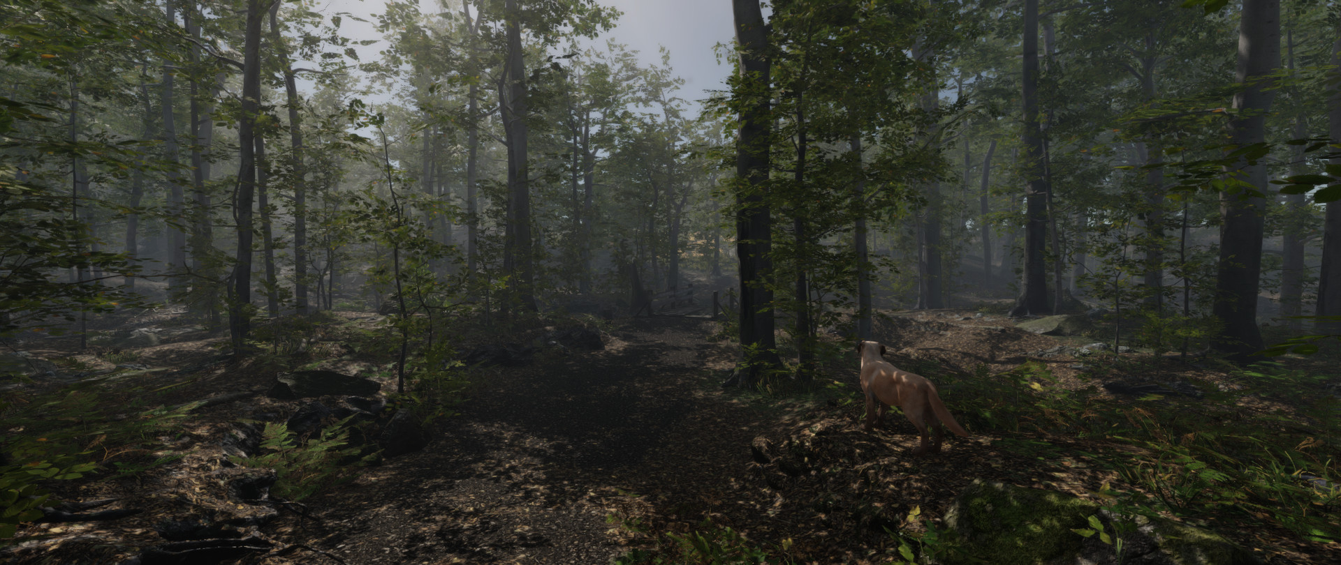 Stay Lit, Find Radio