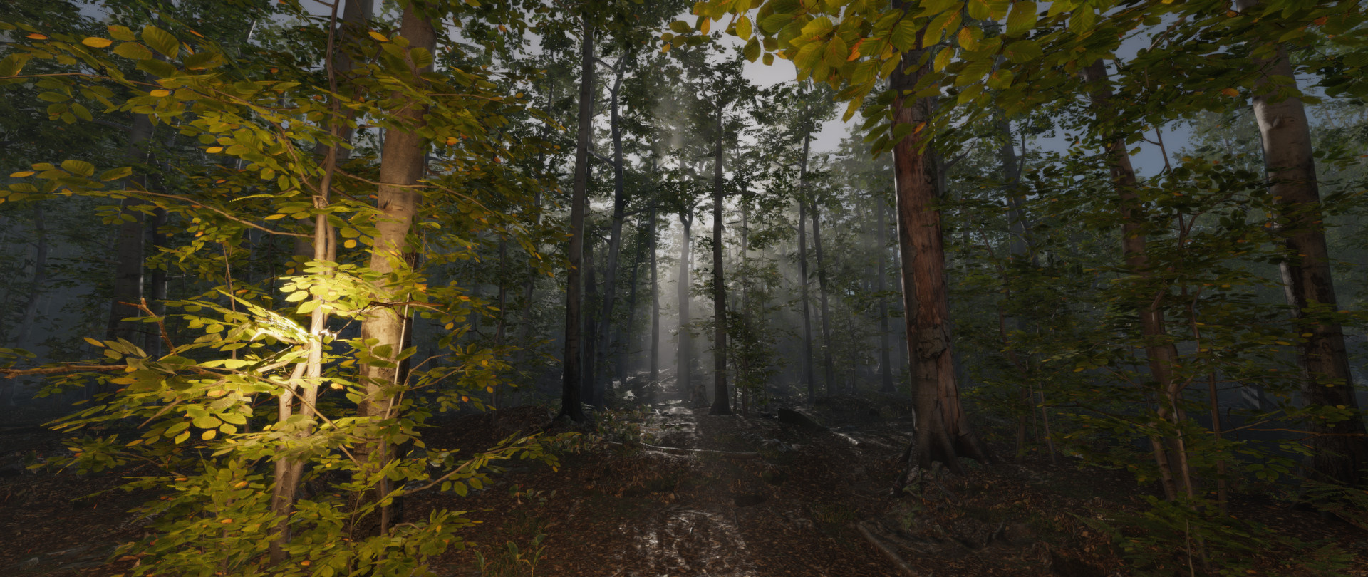 Stay Lit, Find Radio