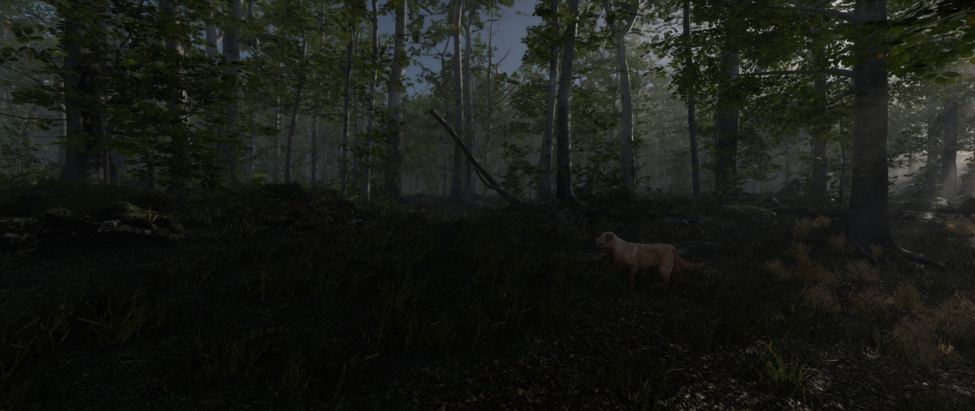 Stay Lit, Find Radio