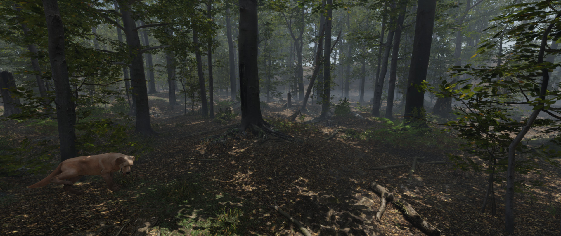 Stay Lit, Find Radio