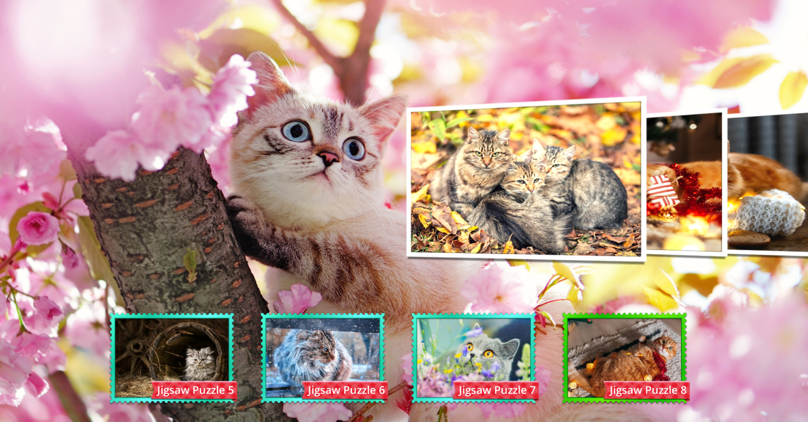 Cat’s Life Jigsaw Puzzles