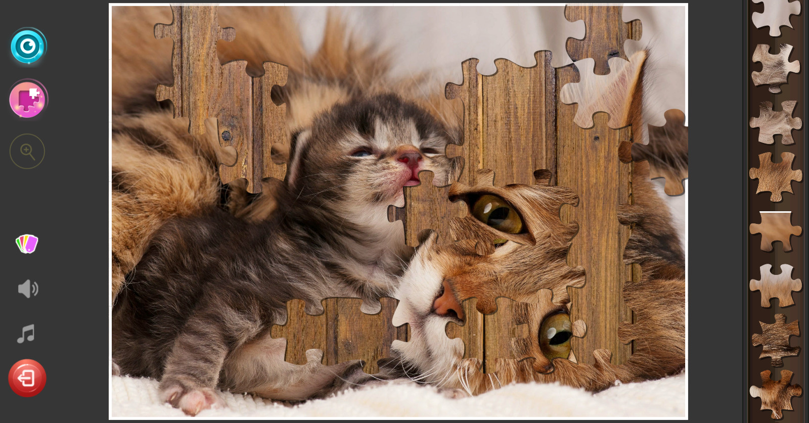 Cat’s Life Jigsaw Puzzles