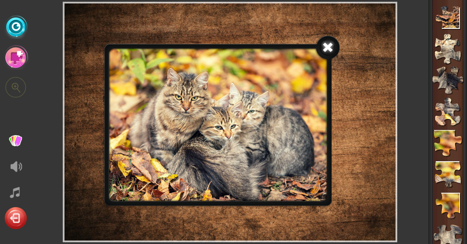 Cat’s Life Jigsaw Puzzles
