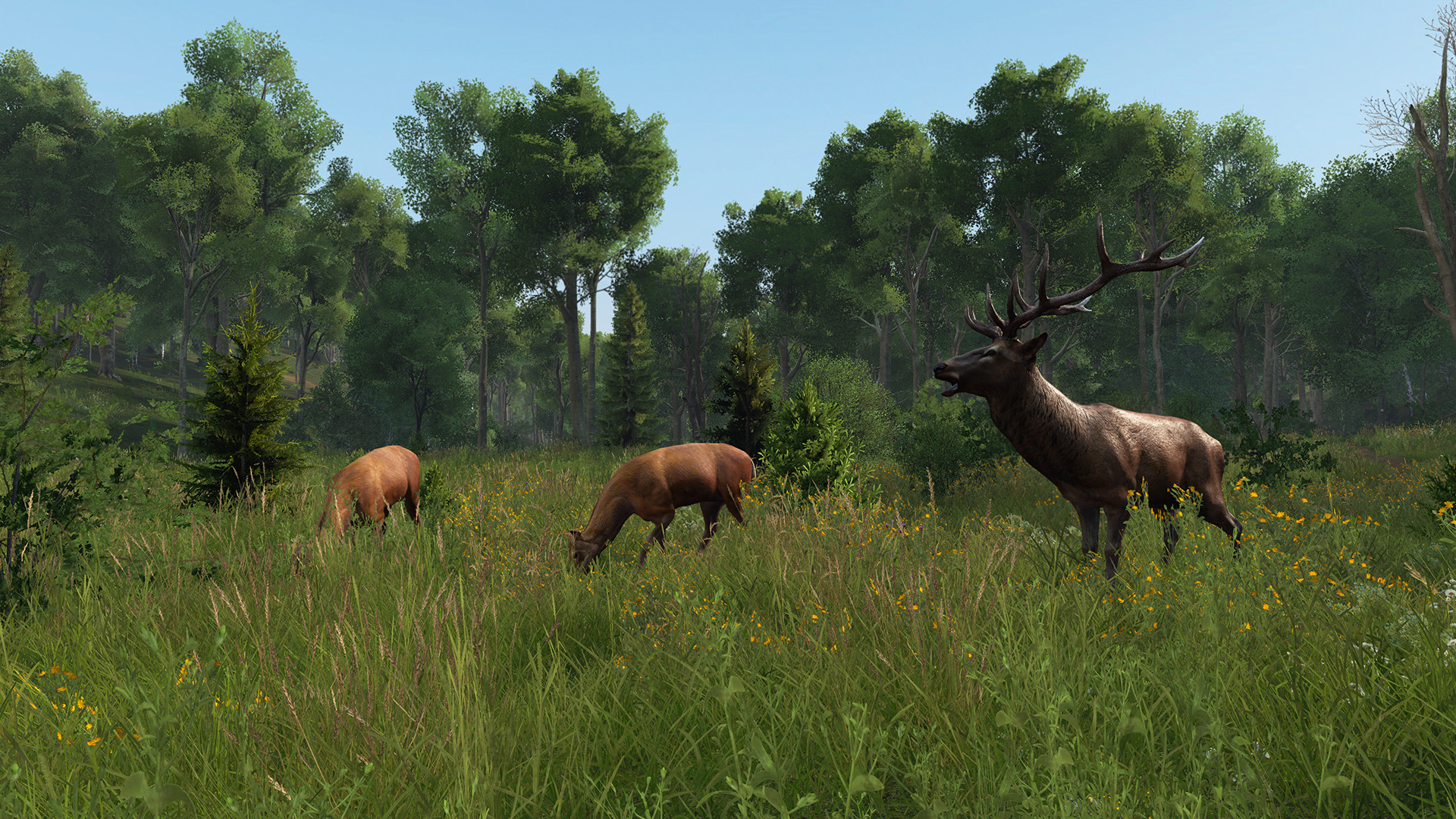 DayZ: Livonia