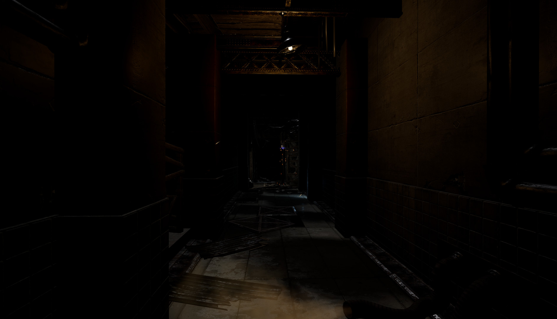 Project Death Wish