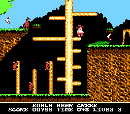 Boomerang Kid