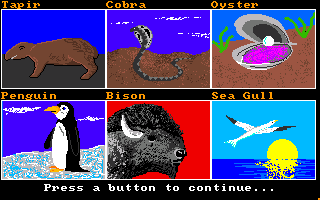 The Wonders of the Animal Kingdom