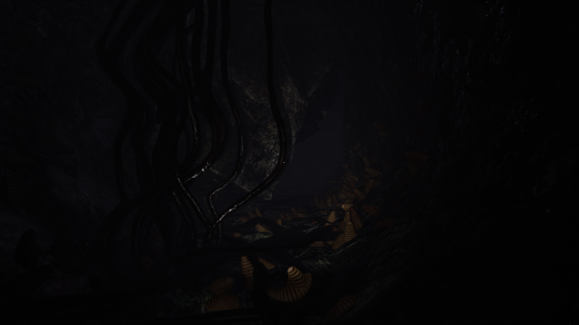Dread
