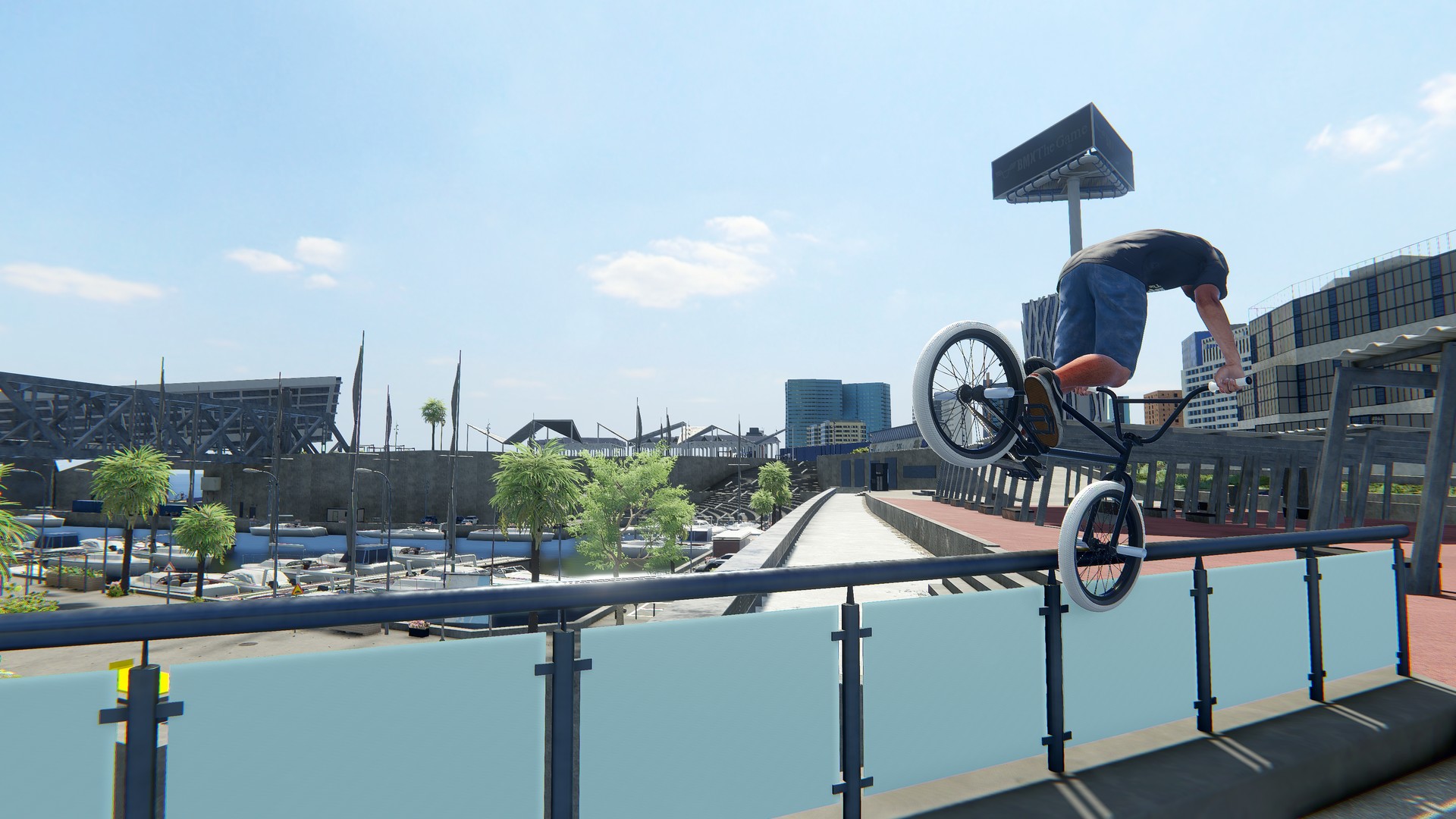 BMX: The Game