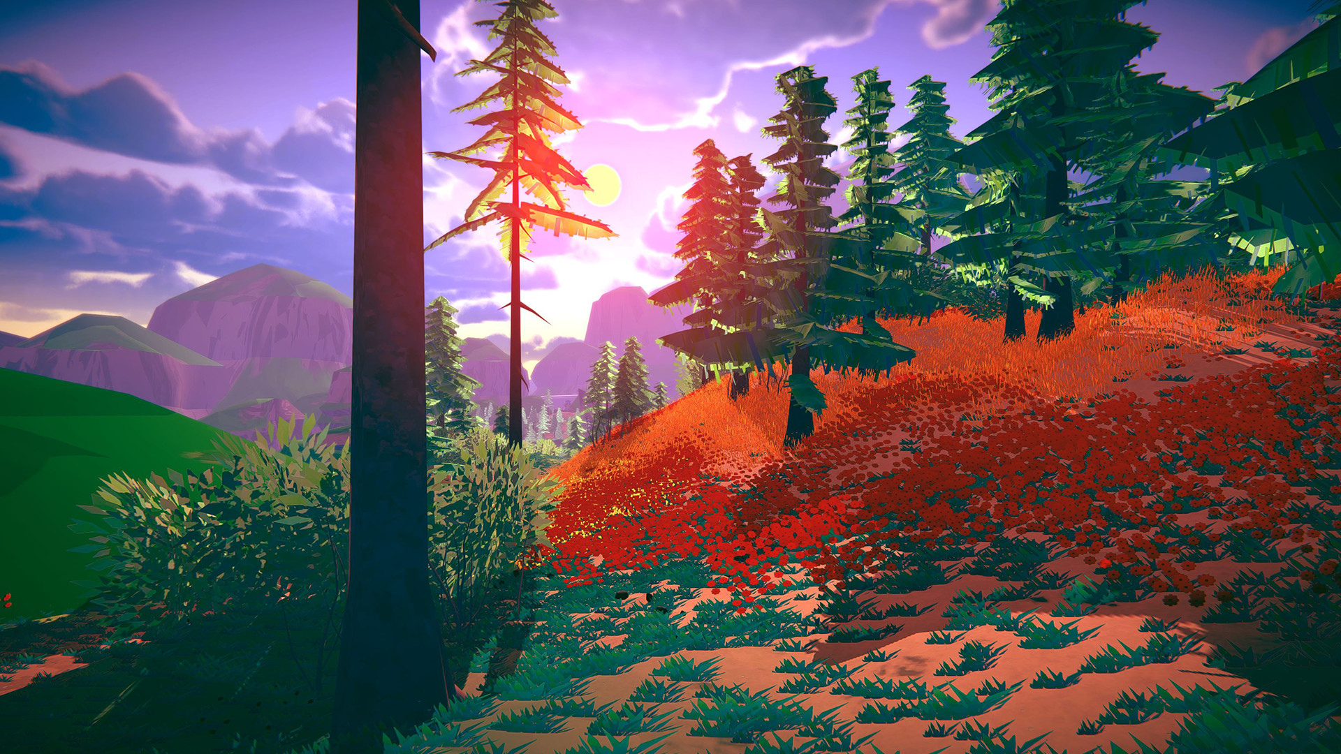 Wandering Trails: A Hiking Game