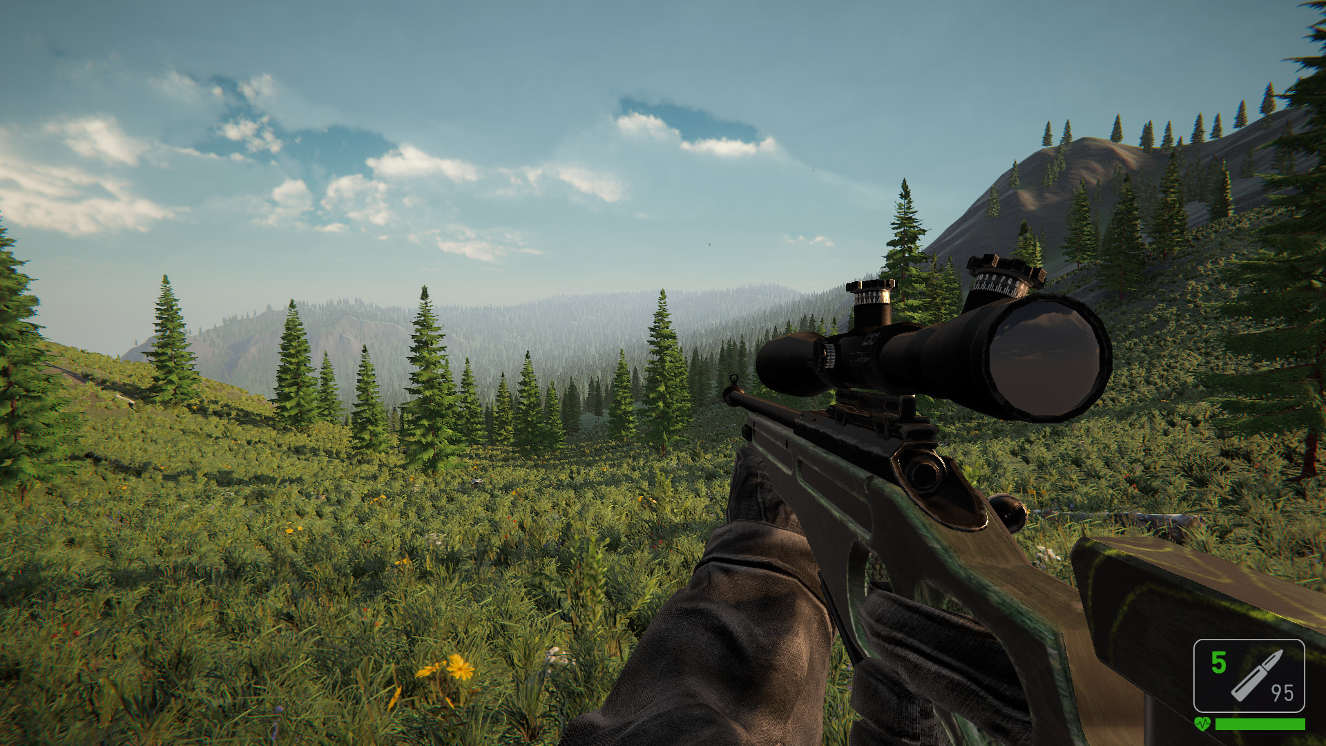 The Mountain Hunting