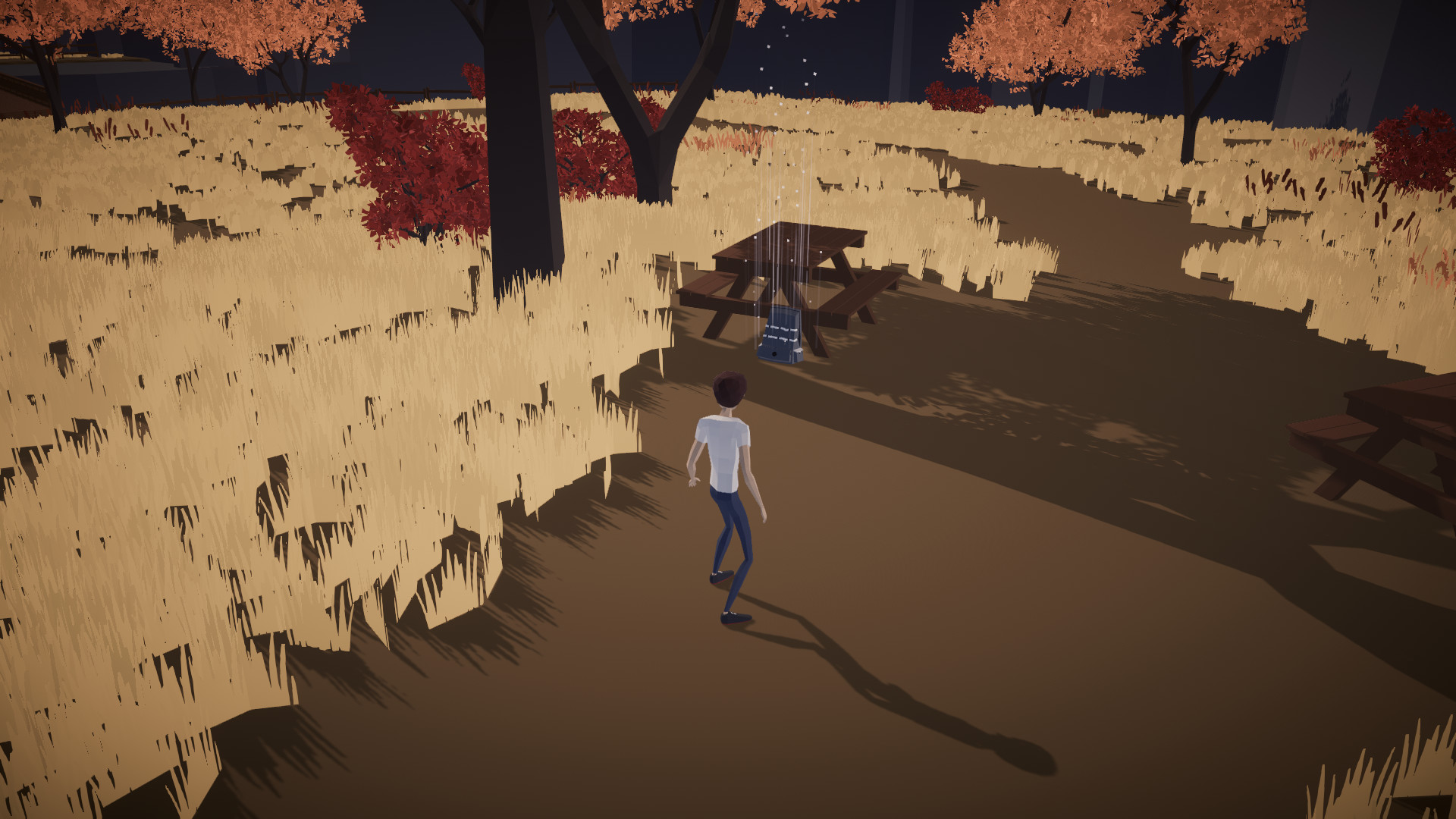 Matthew: Last Journey